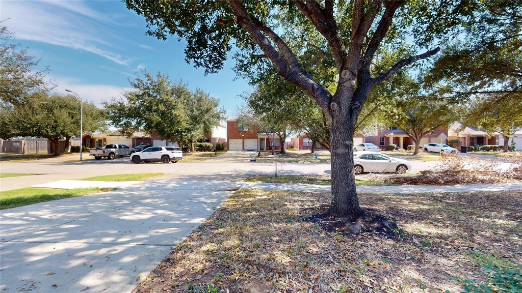 6007 Baldwin Elm Street - Photo 1