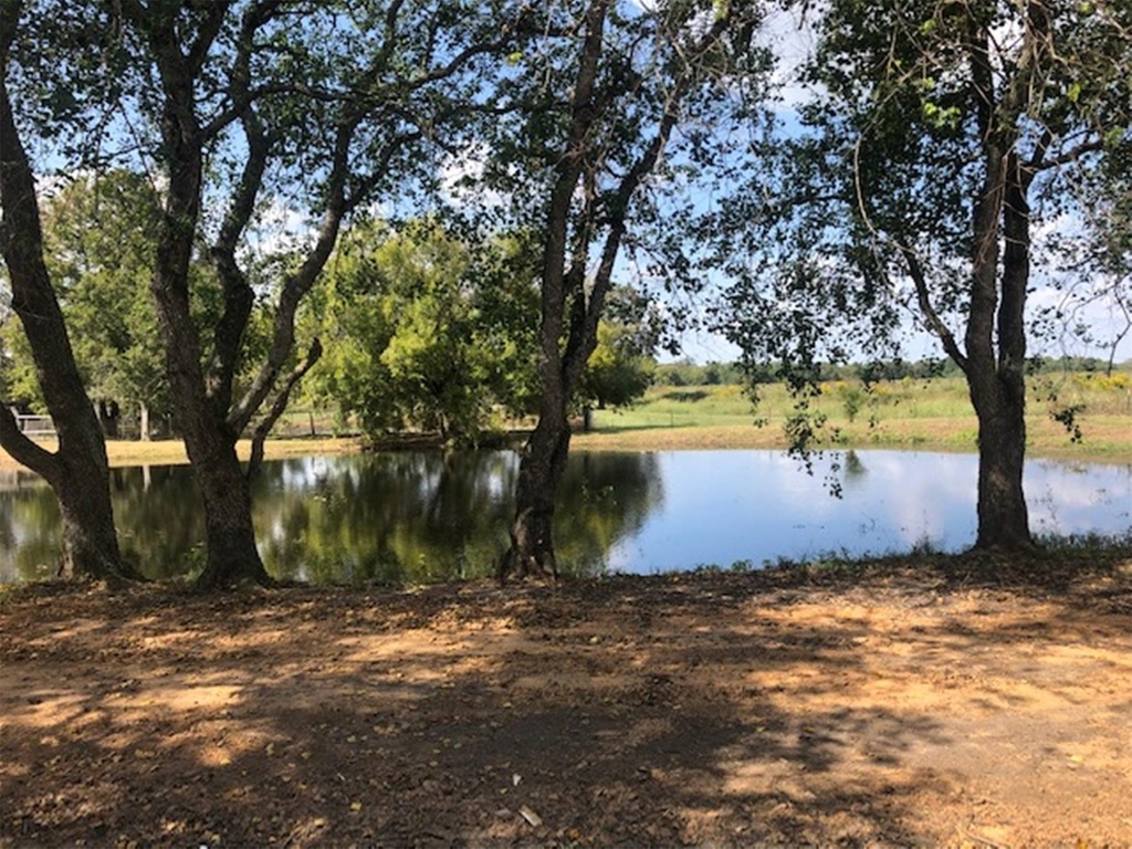 10910 Highway 36 - Photo 18