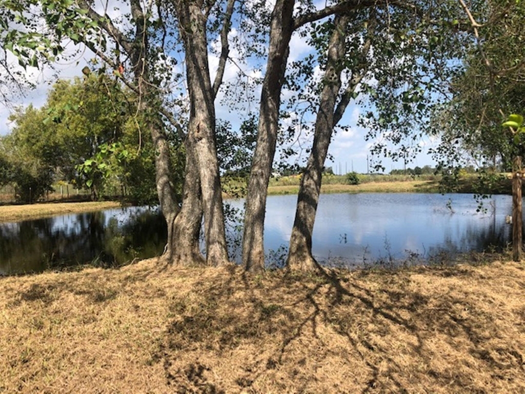 10910 Highway 36 - Photo 19