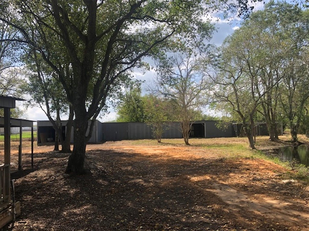 10910 Highway 36 - Photo 26