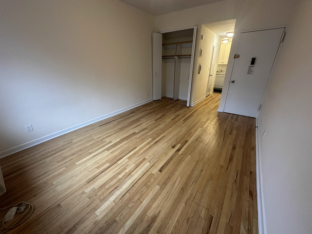 523 East 85th Street - Photo 0
