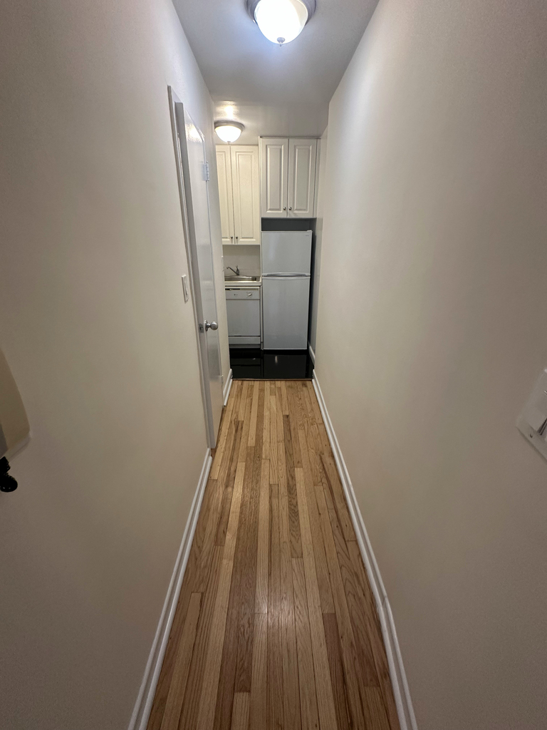 523 East 85th Street - Photo 3