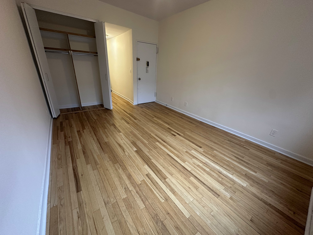 523 East 85th Street - Photo 6
