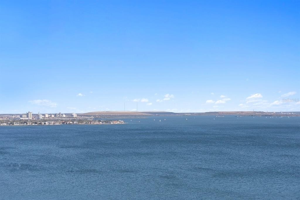 3101 Bayshore Boulevard - Photo 10