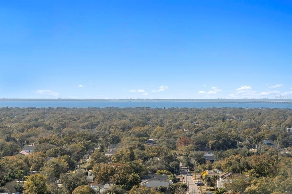 3101 Bayshore Boulevard - Photo 47