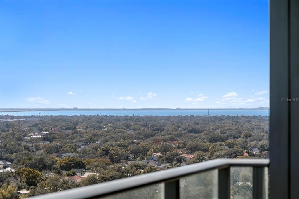 3101 Bayshore Boulevard - Photo 43