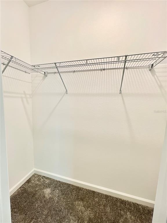 4424 Blackbird Street - Photo 9