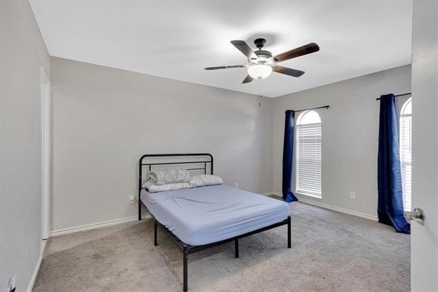 330 Nettle Drive - Photo 4