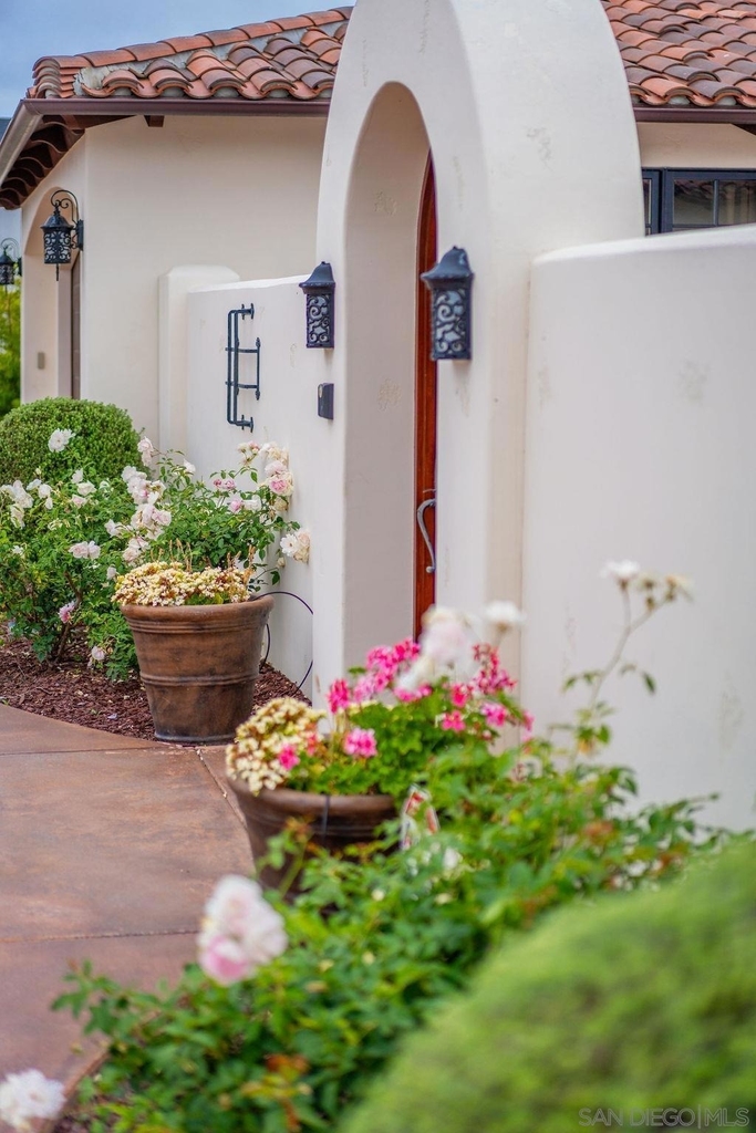 604 Camino De Orchidia - Photo 26
