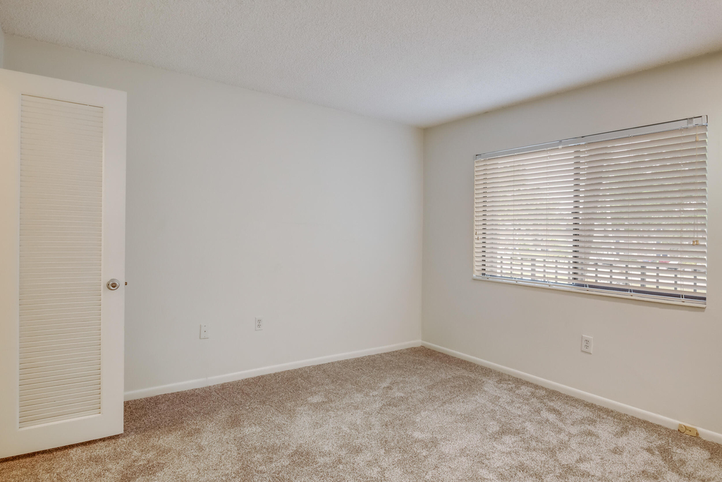 4801 Esedra Court - Photo 13