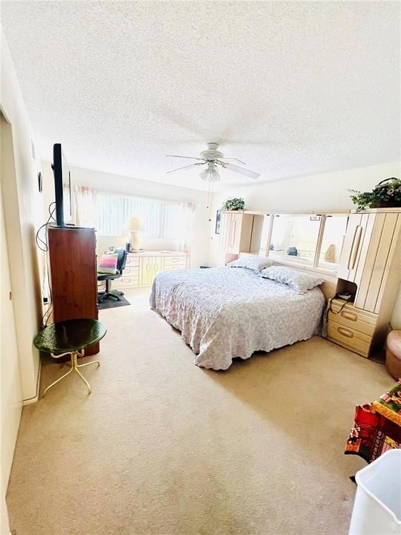 2471 Sumatran Way - Photo 1