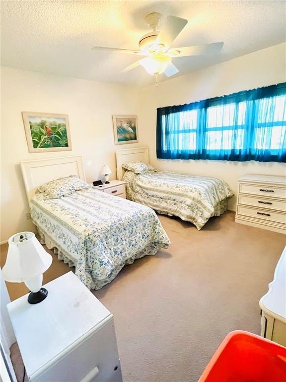 2471 Sumatran Way - Photo 0