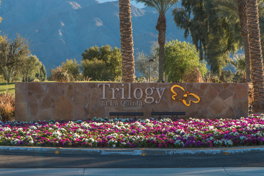 60460 Desert Rose Drive - Photo 15