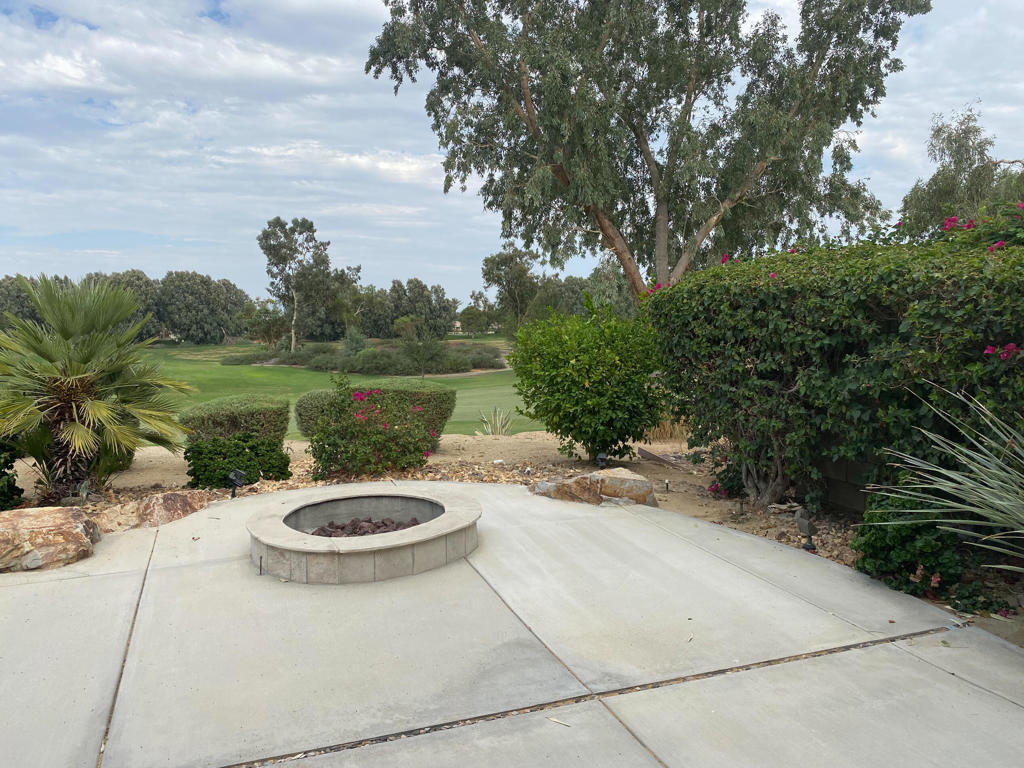 60460 Desert Rose Drive - Photo 12
