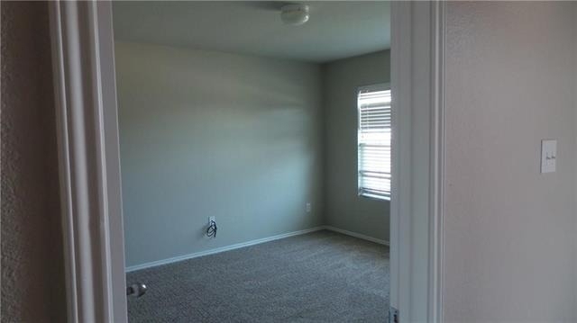 524 Timberhaven Trail - Photo 9