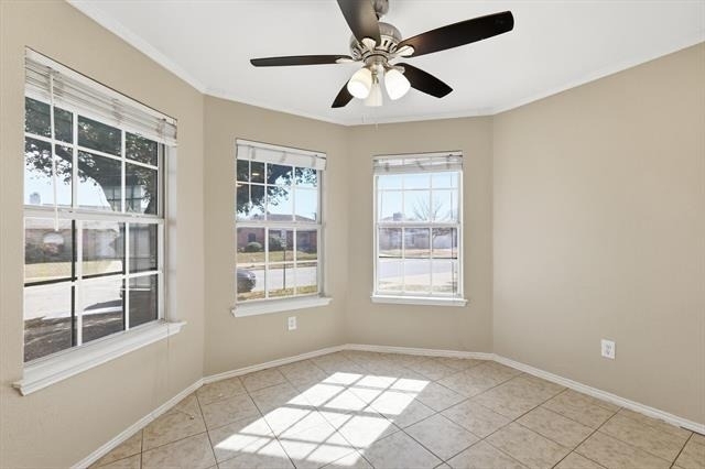 7733 Liz Lane - Photo 11