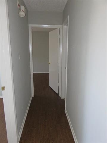 3901 William Street - Photo 11