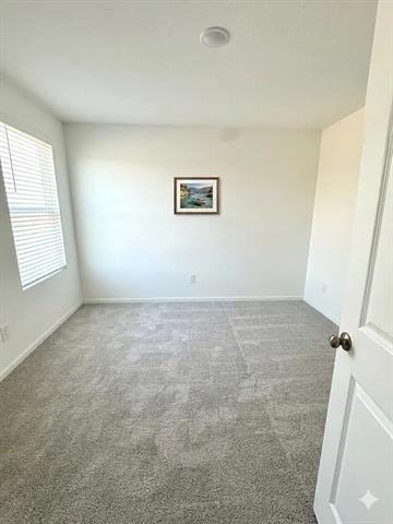 13904 Hidden Oasis - Photo 6
