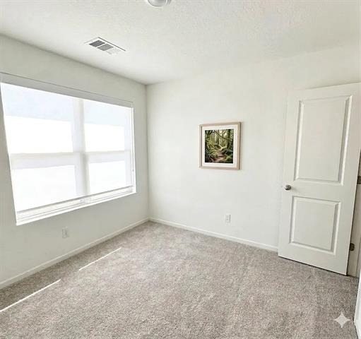 13904 Hidden Oasis - Photo 3
