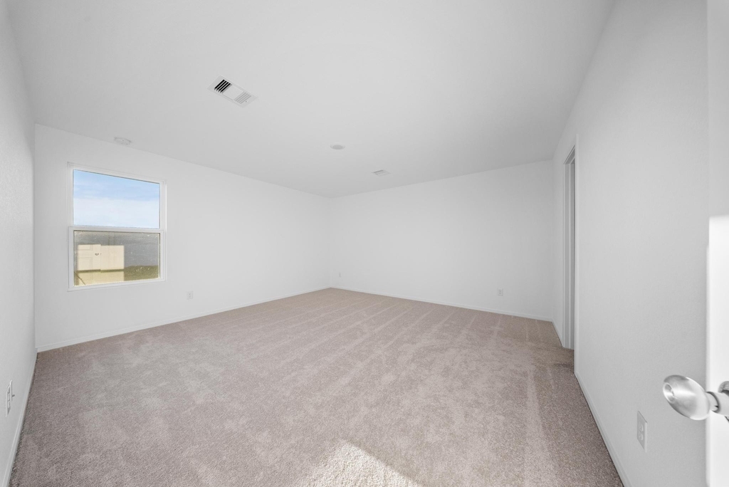 26651 Pampas Grass Ln - Photo 17
