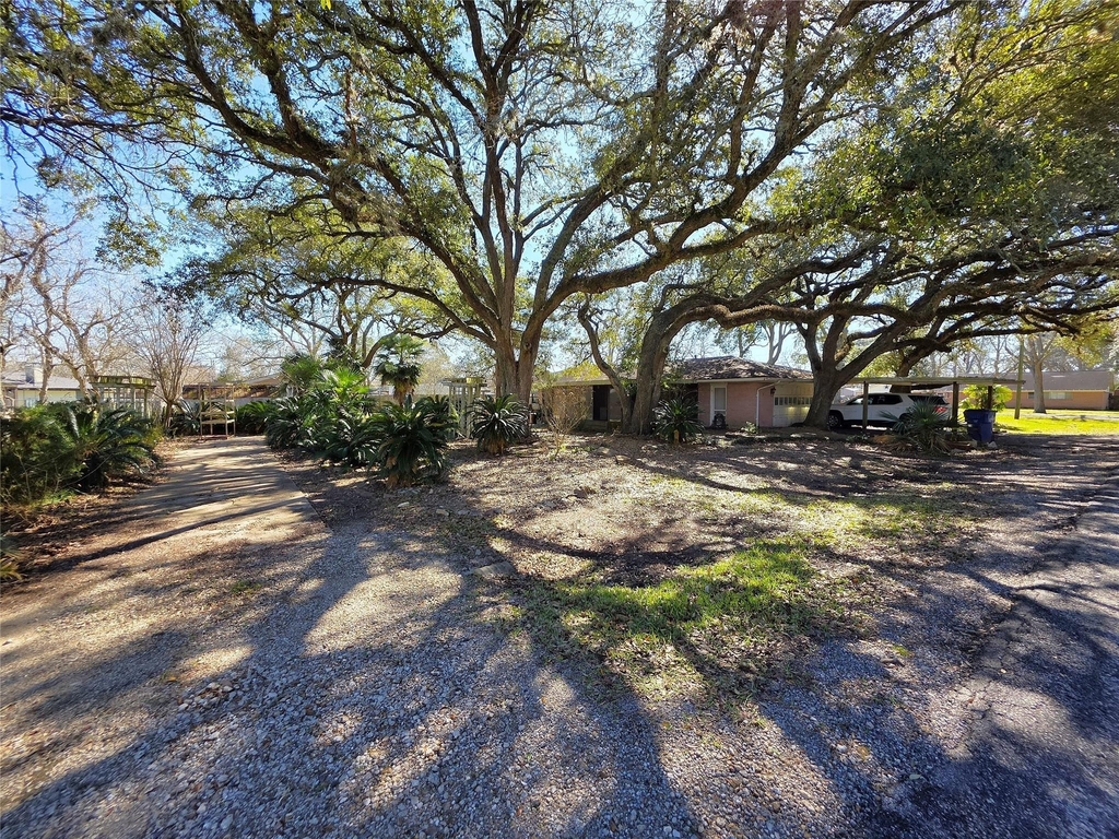 706 Maple St - Photo 3