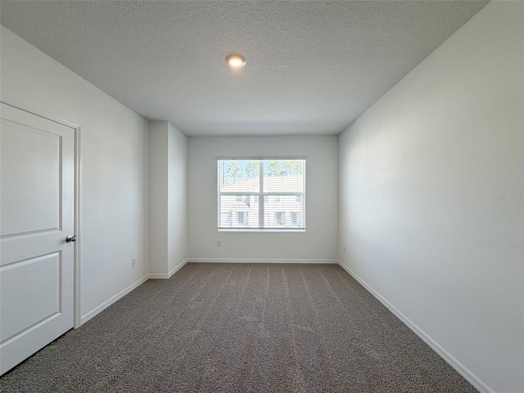 31276 Paper Birch Street - Photo 6