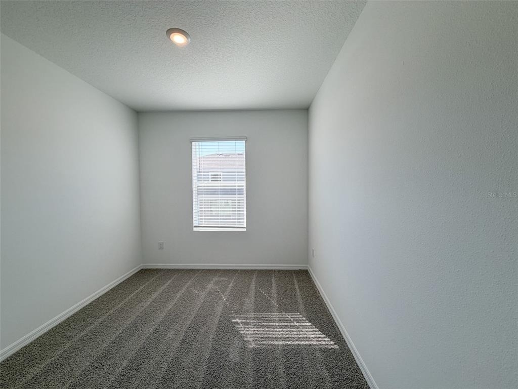 31276 Paper Birch Street - Photo 12