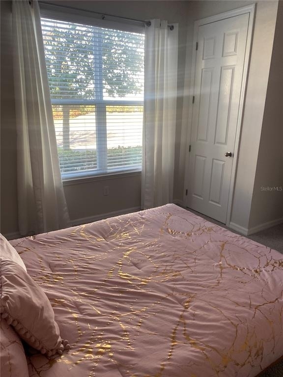 1523 Carey Palm Circle - Photo 2