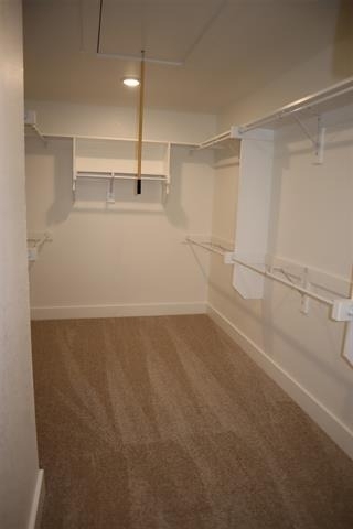 205 Chestnut - Photo 14
