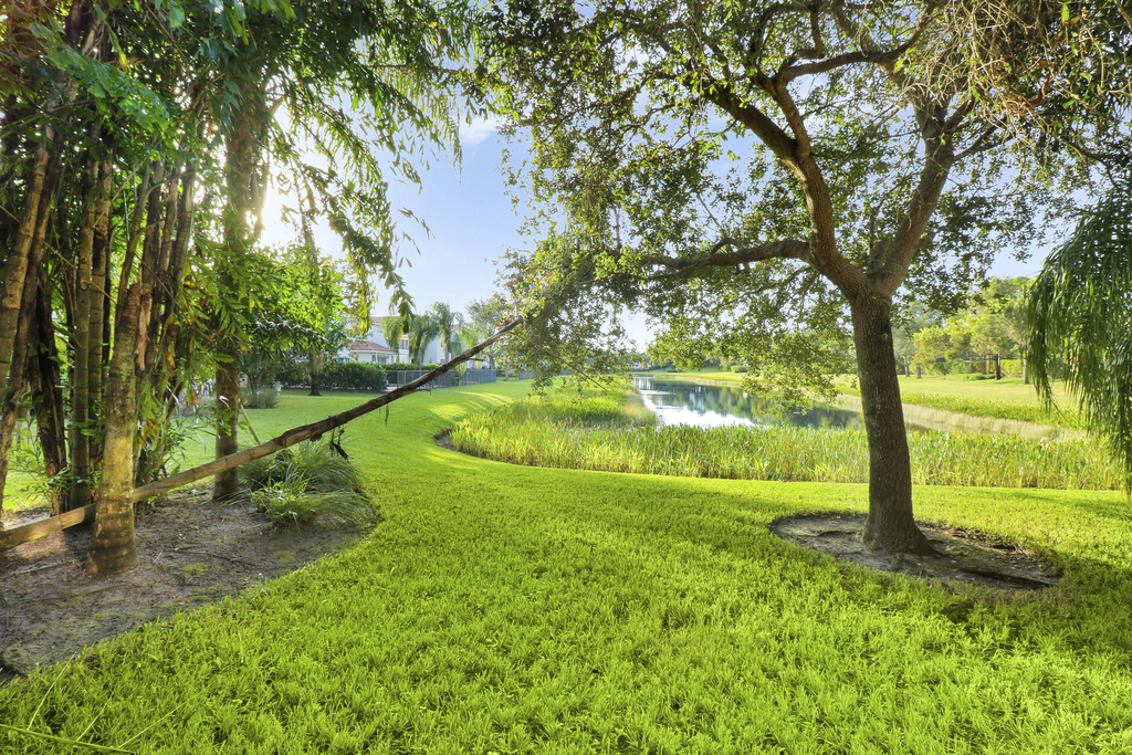 11351 Majestic Acres Terrace - Photo 9