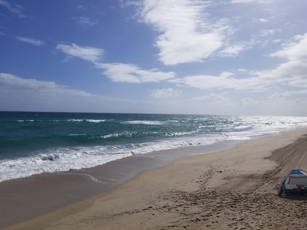 3540 S Ocean Boulevard - Photo 2