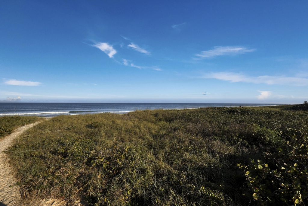 4949 N Highway A1a - Photo 33
