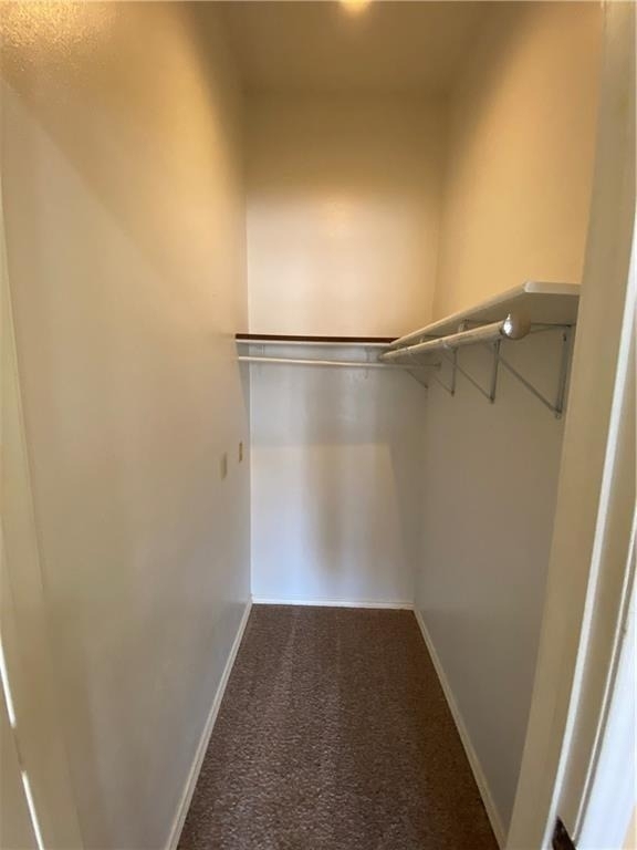 2802 Nueces St - Photo 5