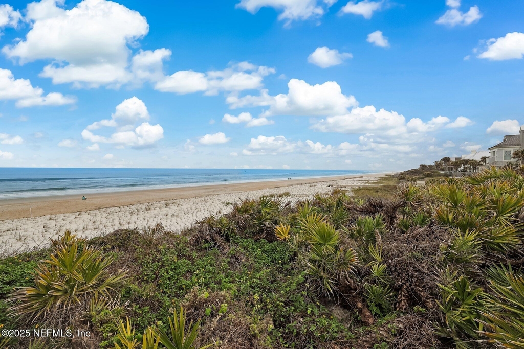 756 Spinnakers Reach Drive - Photo 48