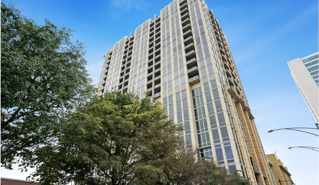 700 N Larrabee Street - Photo 1