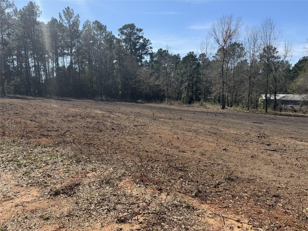 281 Fm 3459 - Photo 5