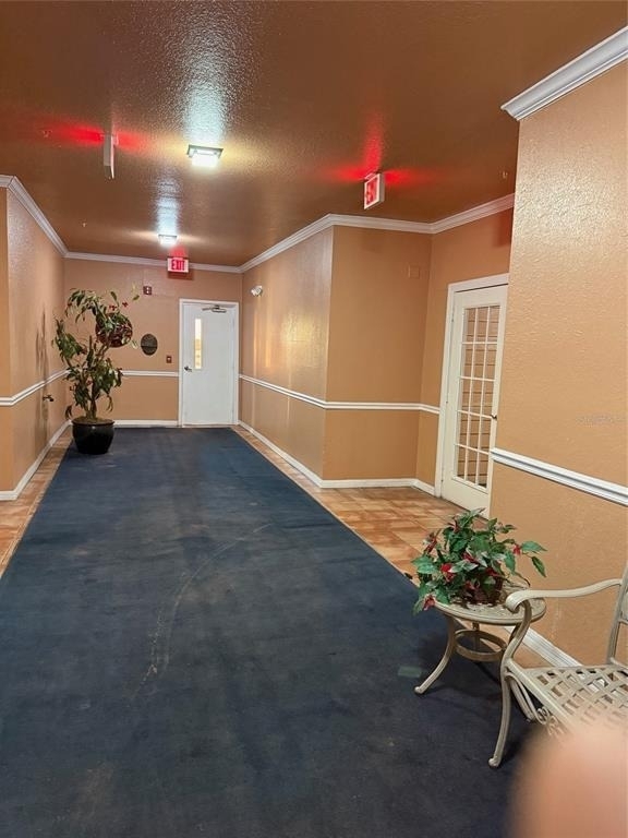 5000 Culbreath Key Way - Photo 3