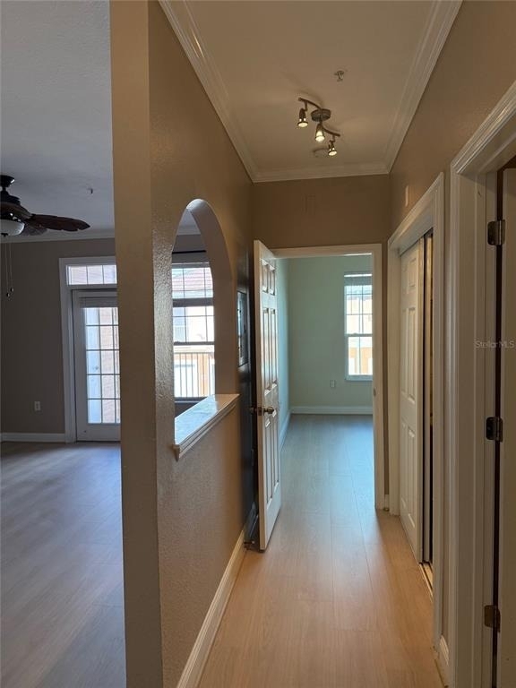 5000 Culbreath Key Way - Photo 16