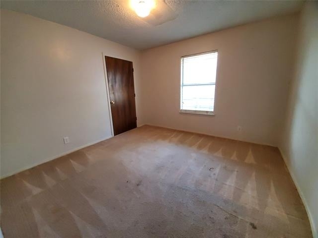 1002 Mulkey Lane - Photo 13