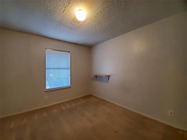 1002 Mulkey Lane - Photo 14