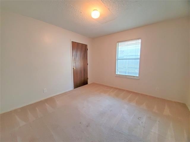 1002 Mulkey Lane - Photo 12
