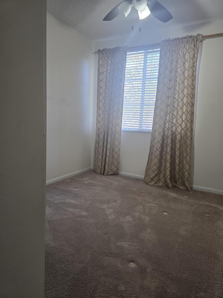 7970 N Nob Hill Road - Photo 5