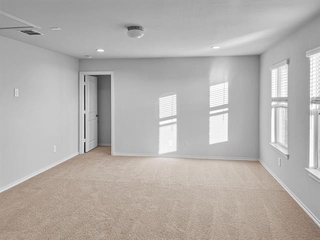 1817 Winecup Drive - Photo 10