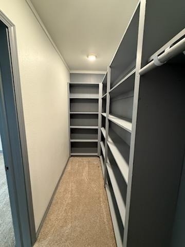 4346 Phlox Street - Photo 6