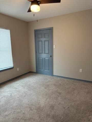 4346 Phlox Street - Photo 8