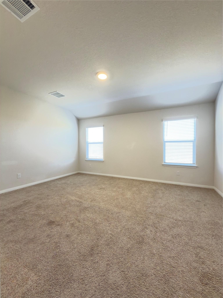 282 Texas Palmetto Cir - Photo 19