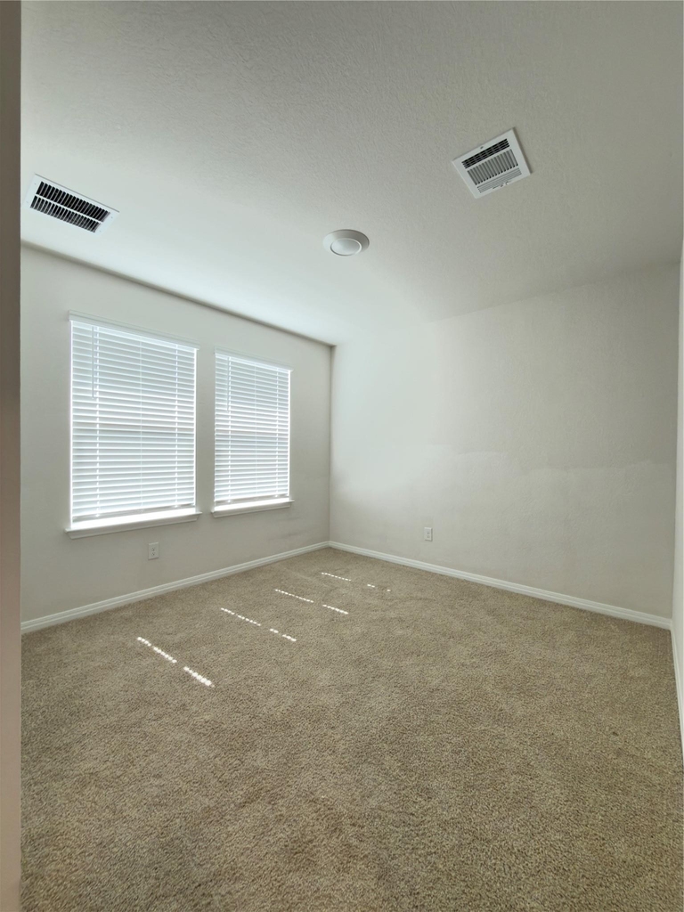282 Texas Palmetto Cir - Photo 13