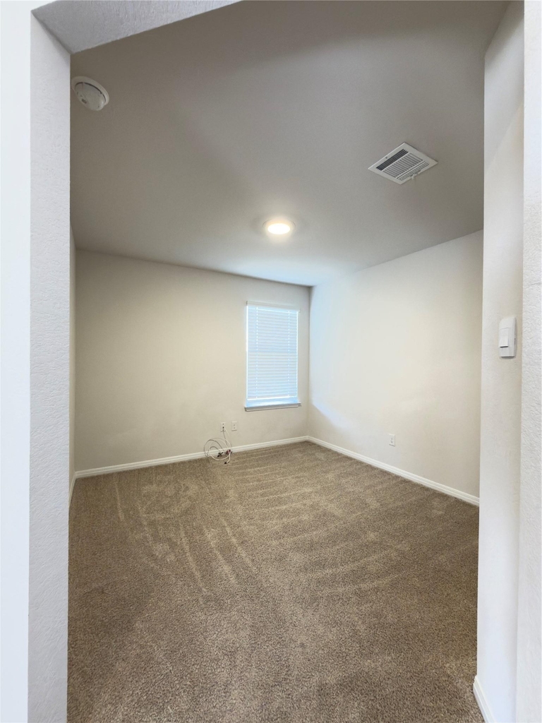 282 Texas Palmetto Cir - Photo 11