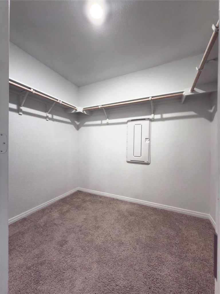 282 Texas Palmetto Cir - Photo 20