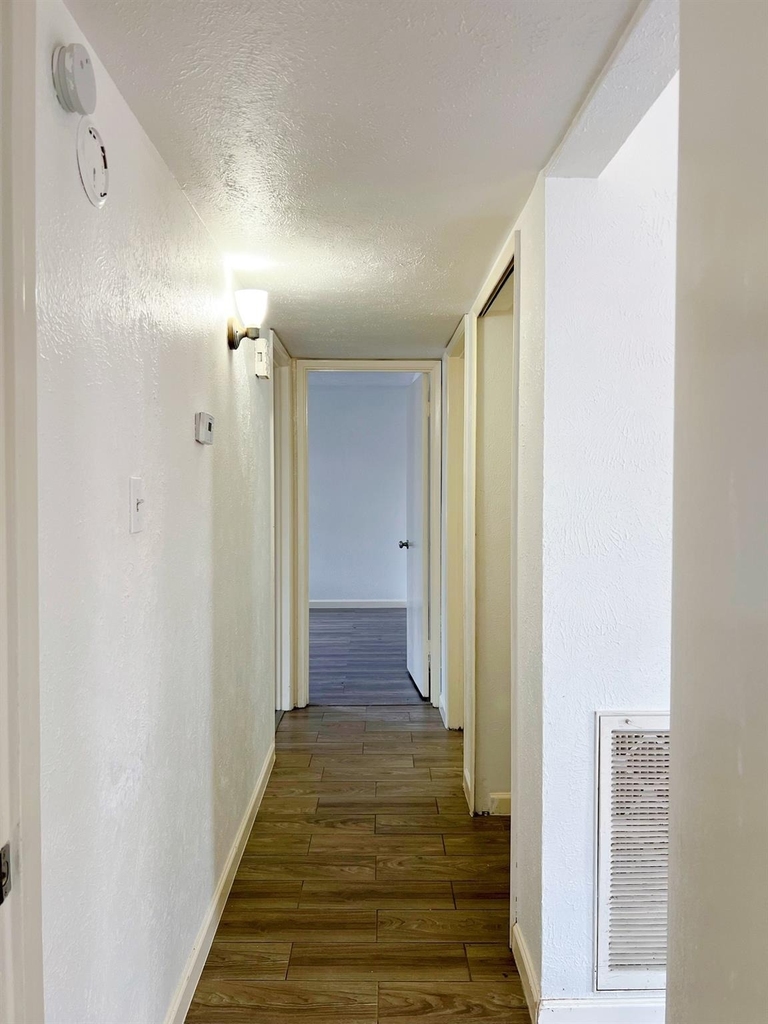 24126 Jumping Jay Lane - Photo 11